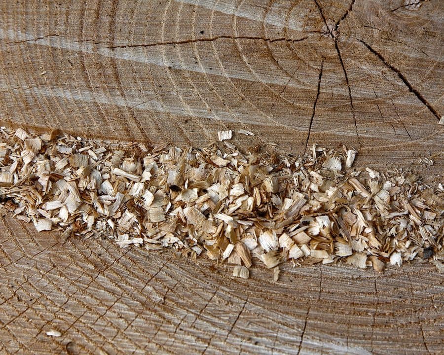 Piliny