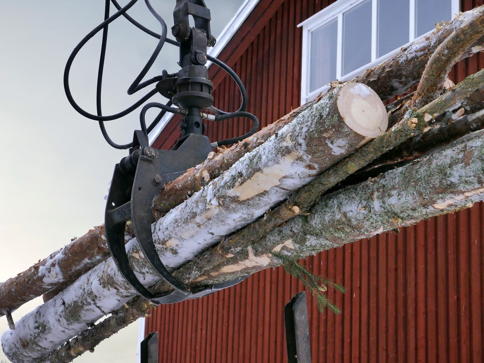 Hydraulická ruka s drapákem drží svazek vytěžených kmenů